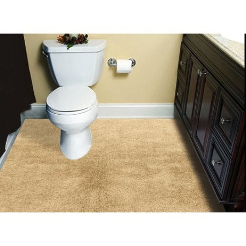 Carpet Cleaning Bathroom