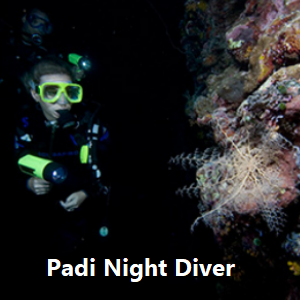 Padi Night Diver Speciality