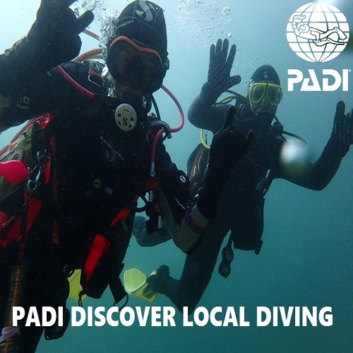 Discover Local Diving in Northern Ireland