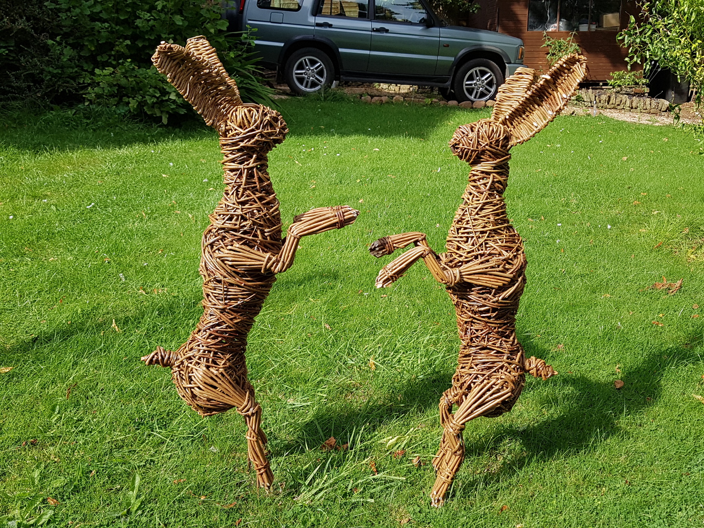 Willow Boxing Hares
