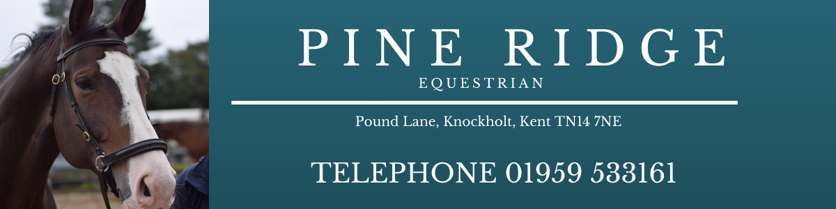 Pine Ridge Equestrian