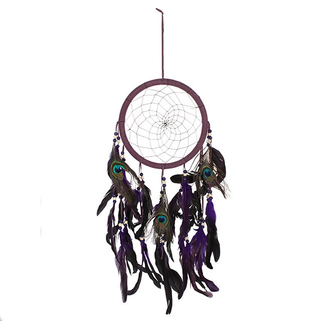 History of the DreamCatcher.