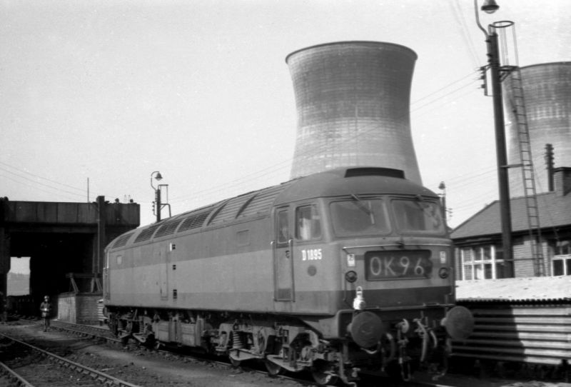 D1895 sits outside Wakefield Depot - 11/04/66

(Terry Campbell)