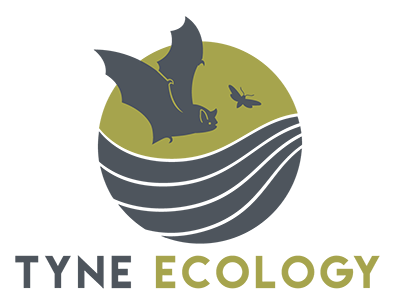 Tyne Ecology Ltd