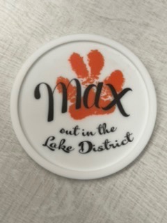 Max Out Logo Silicone Coaster