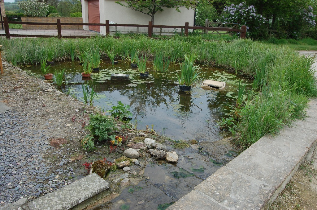 the rill running outside the front of the cottages culminates in the bog garden outside The Cobb