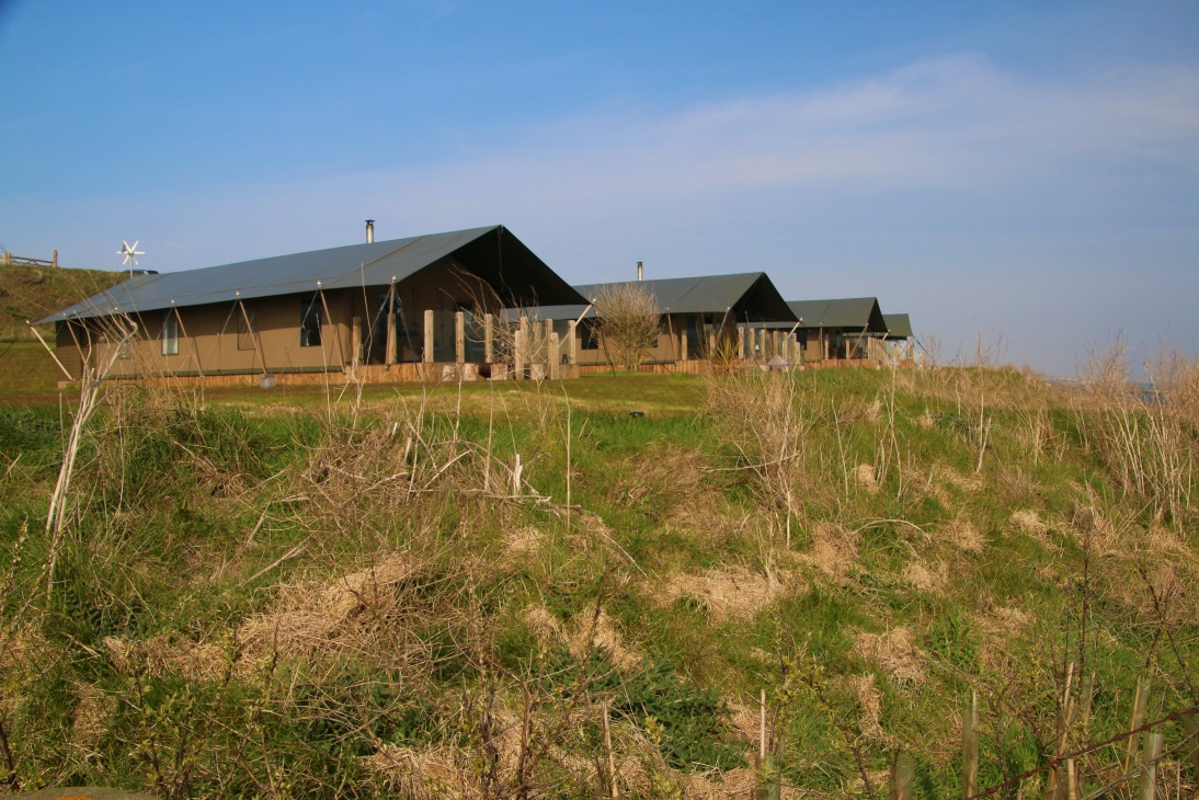 Safari Tents