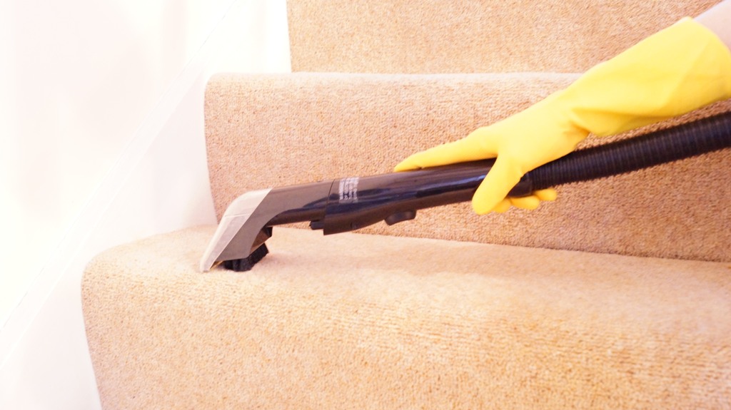 Carpet Cleaning Steps (1 step)