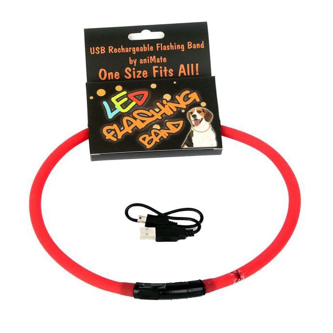 LEADS - USB Rechargeable Flashing Band