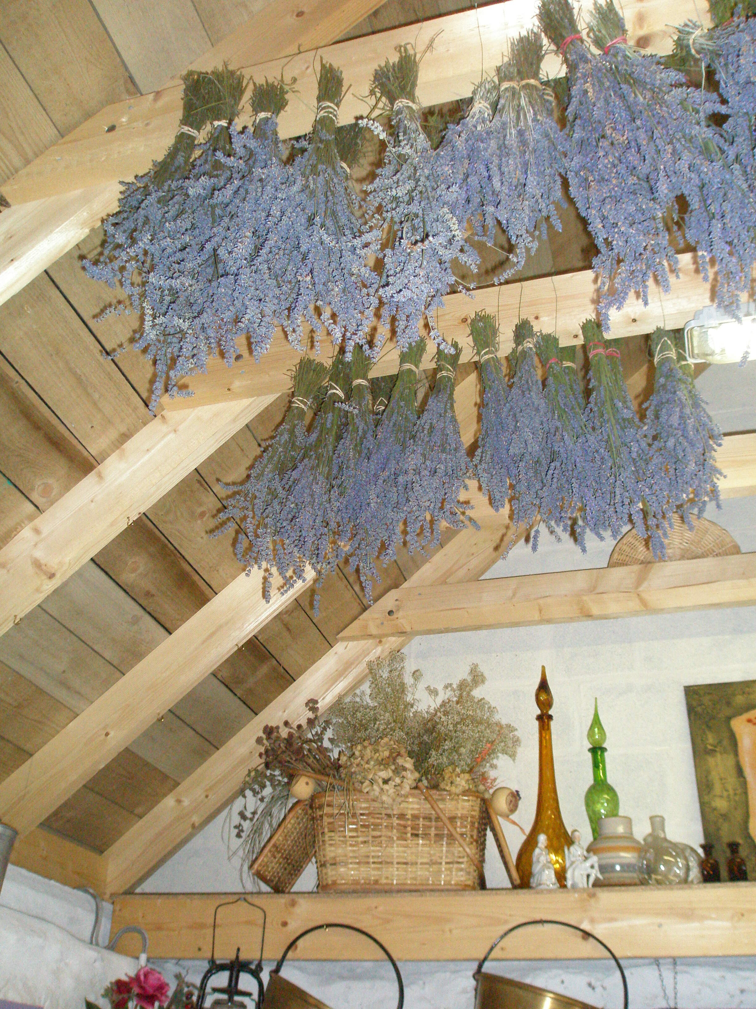 Drying room at Lavender Farm, Scotland 2006