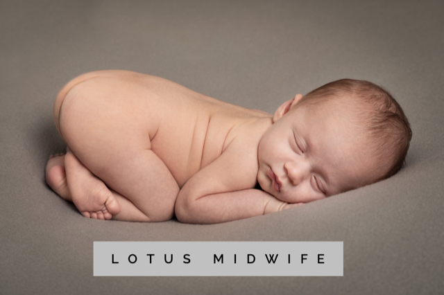 Lotus Midwife