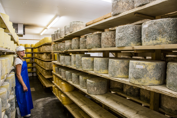 St Andrews Cheese Company