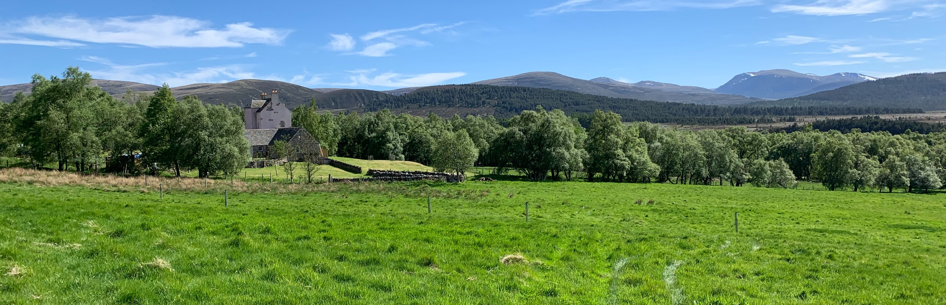 view cairngorms from accommodation
