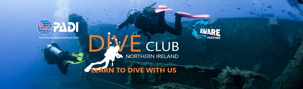 Learn to Scuba dive with us.
