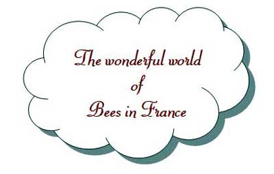 All about bees in France