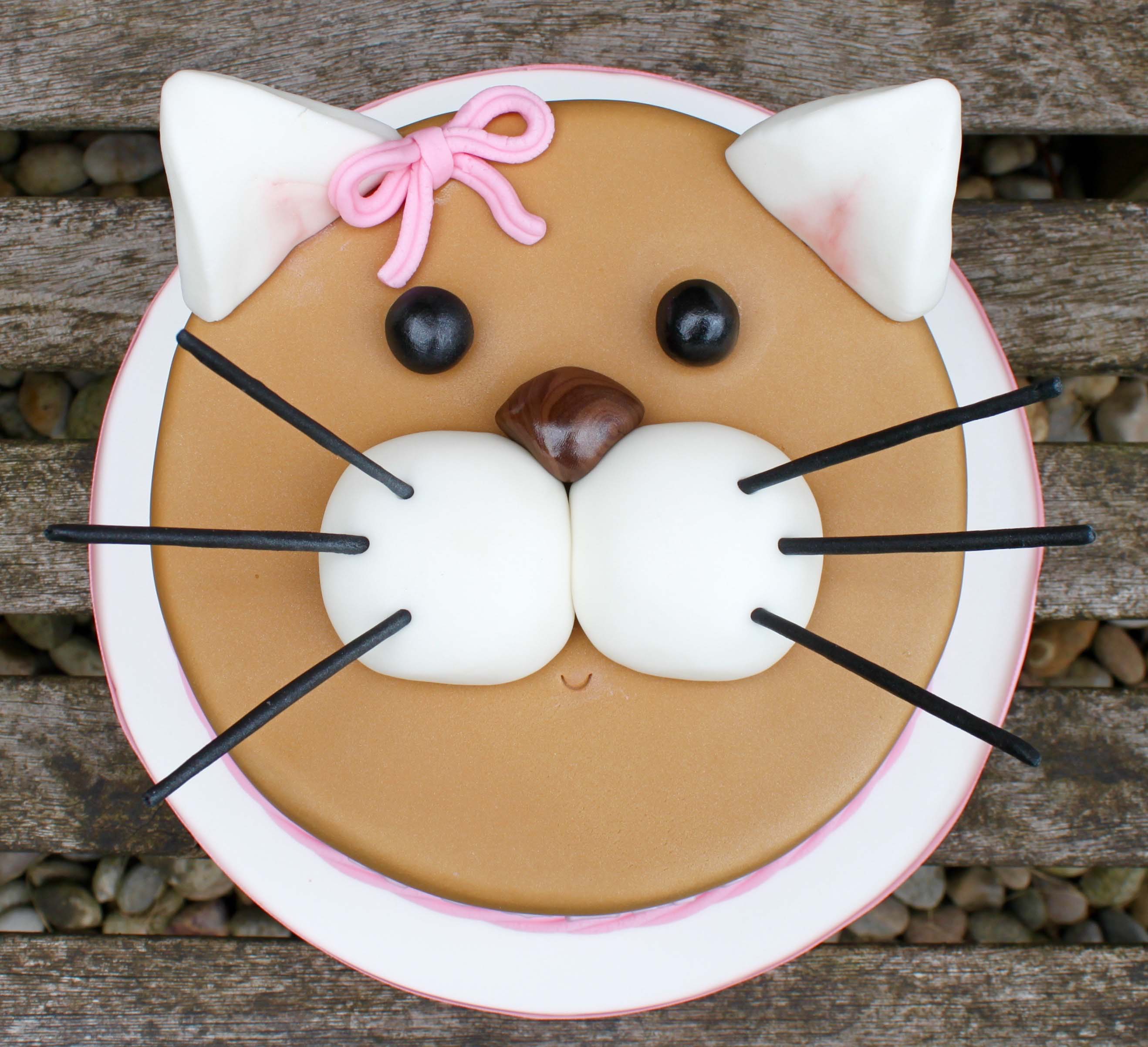 Cat face cake
