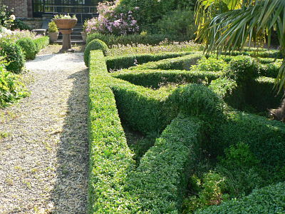 knot garden