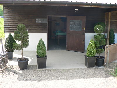 damika topiary shop front