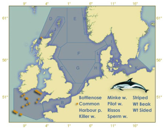 Map of Celtic sea and North sea showing common dolphin sightings