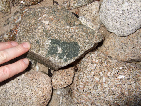 Xenolith in granite pebble