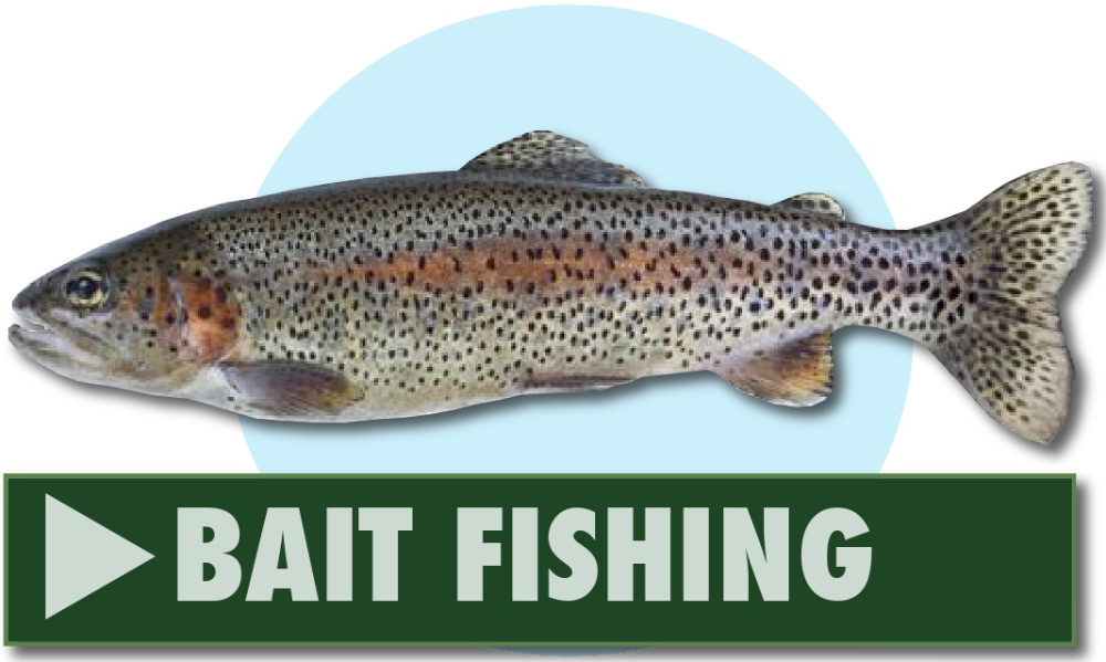 Bait fishing at Greenhill Fishery, Dalbeattie, Dumfries and Galloway, Scotland