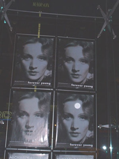 Marlene Dietrich by Pedro Mendes