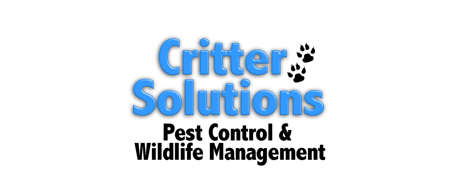 Critter Solutions