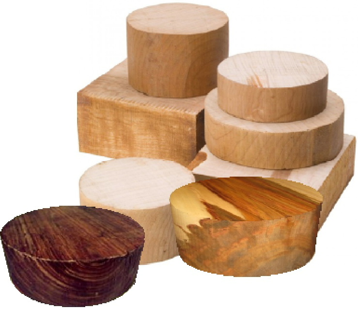 Carving Blanks from Just Wood Woodturning Supplies of Ayr