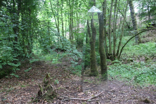 Mirrored Obelisk hidden in woods