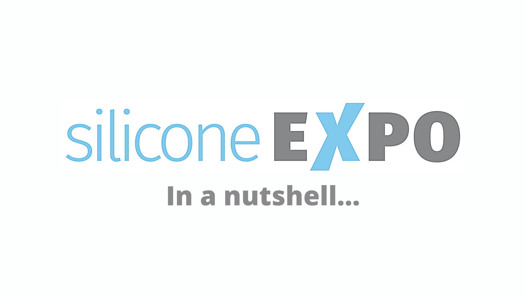 Silicone Expo