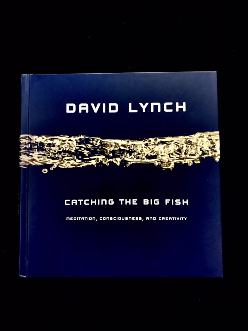 Catching The Big Fish: Meditation, Consciousness & Creativity by David Lynch