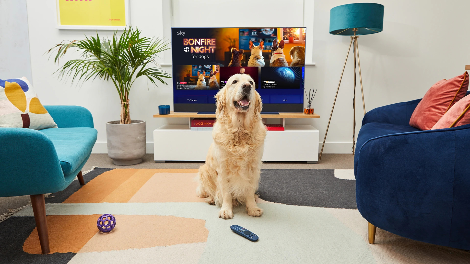 Sky and NOW Launch Pop-Up Bonfire Night TV Channel for Anxious Pets