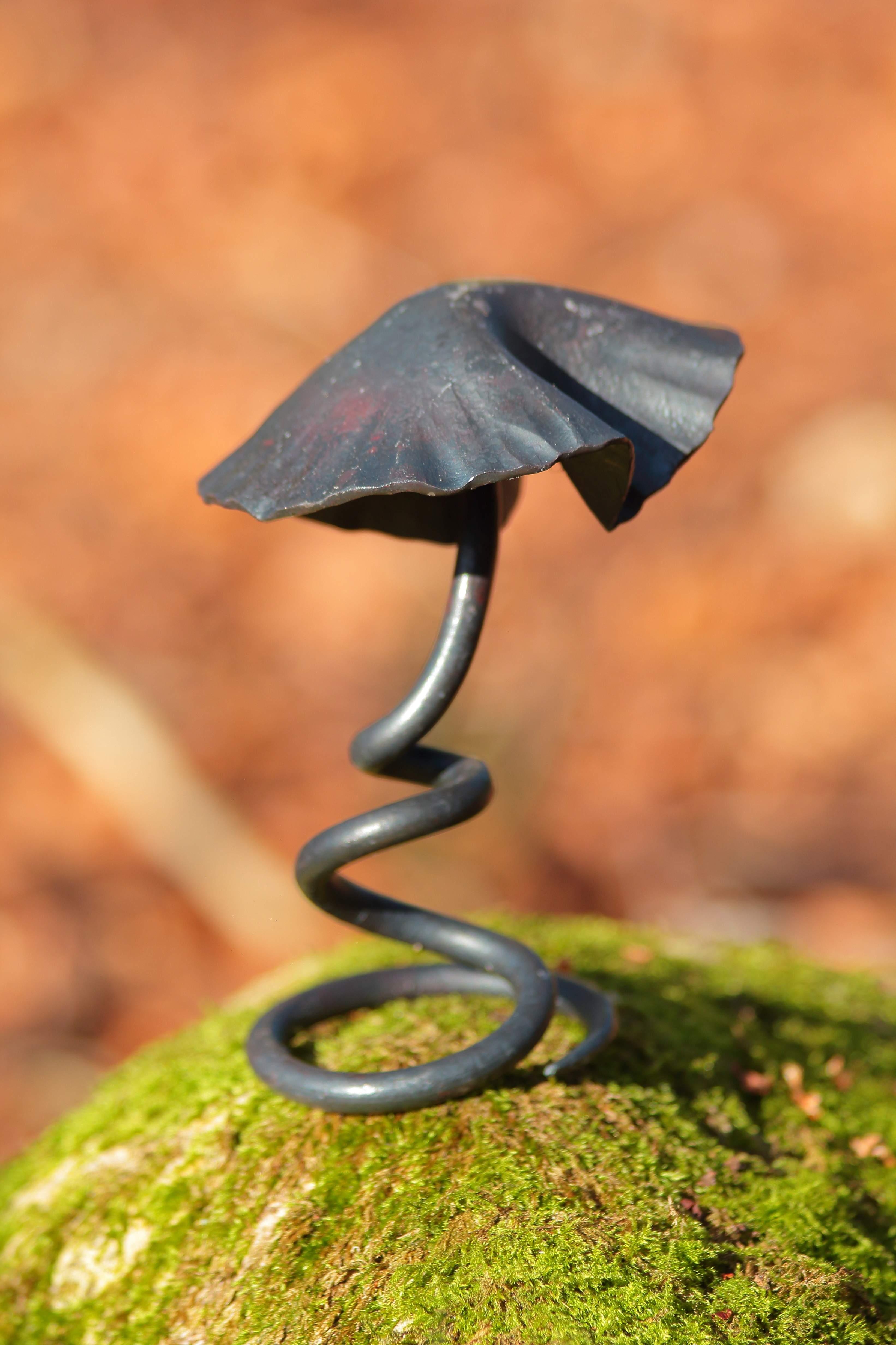 Standing Mushrooms