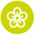 Icon-Floweringpng