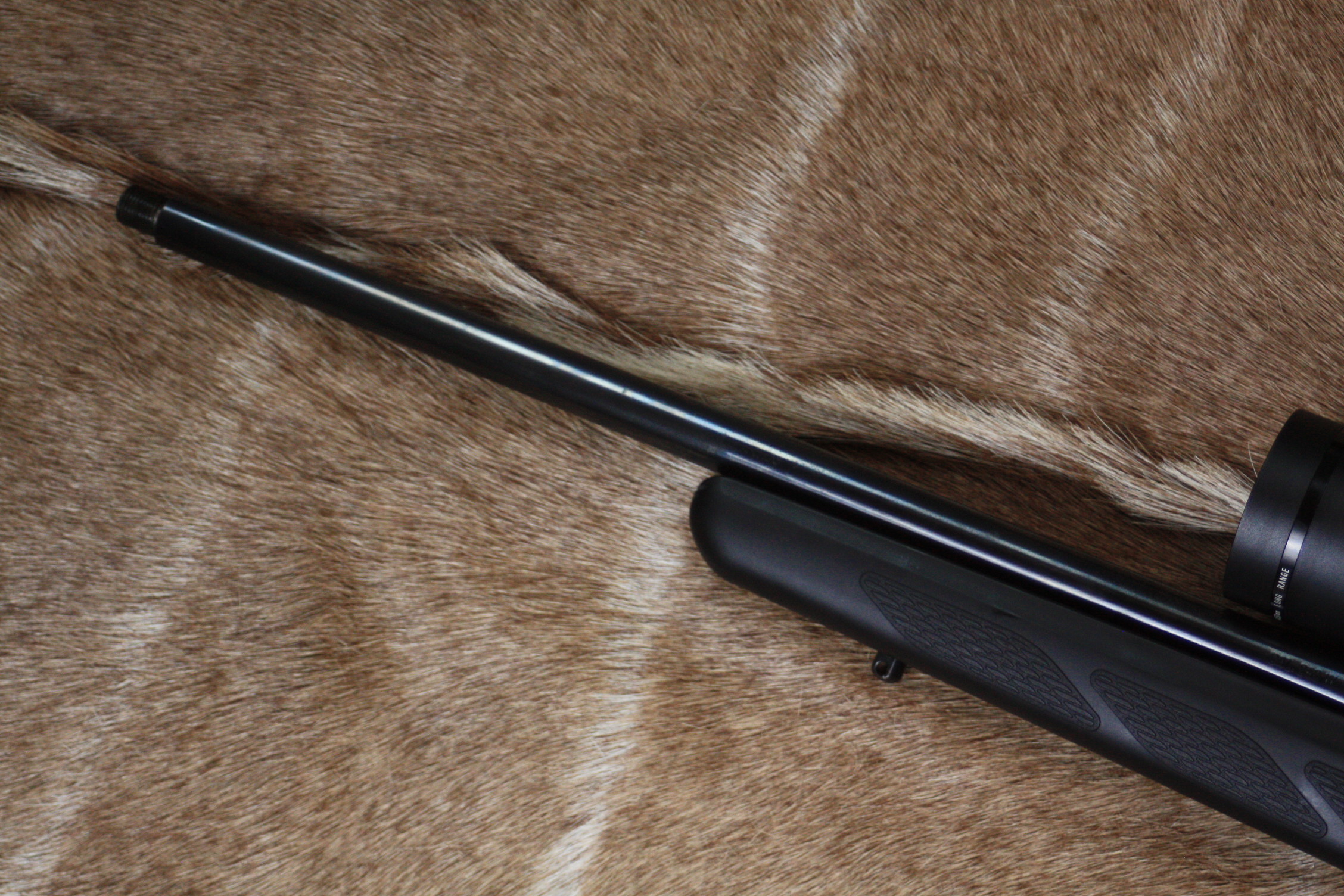 Tikka T3 .243 Bolt Action Rifle