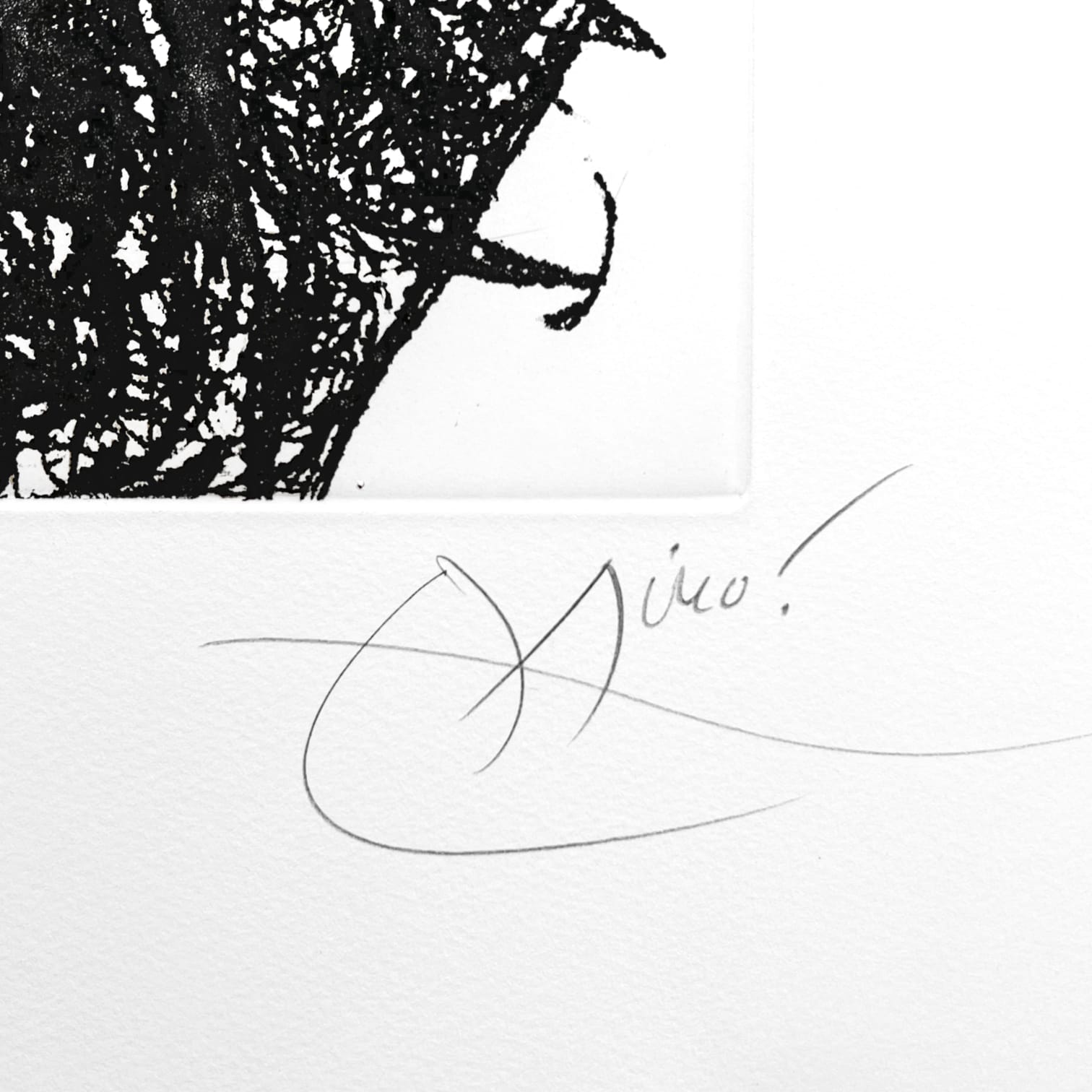 Joan Miro - Le Coq de Bruyere