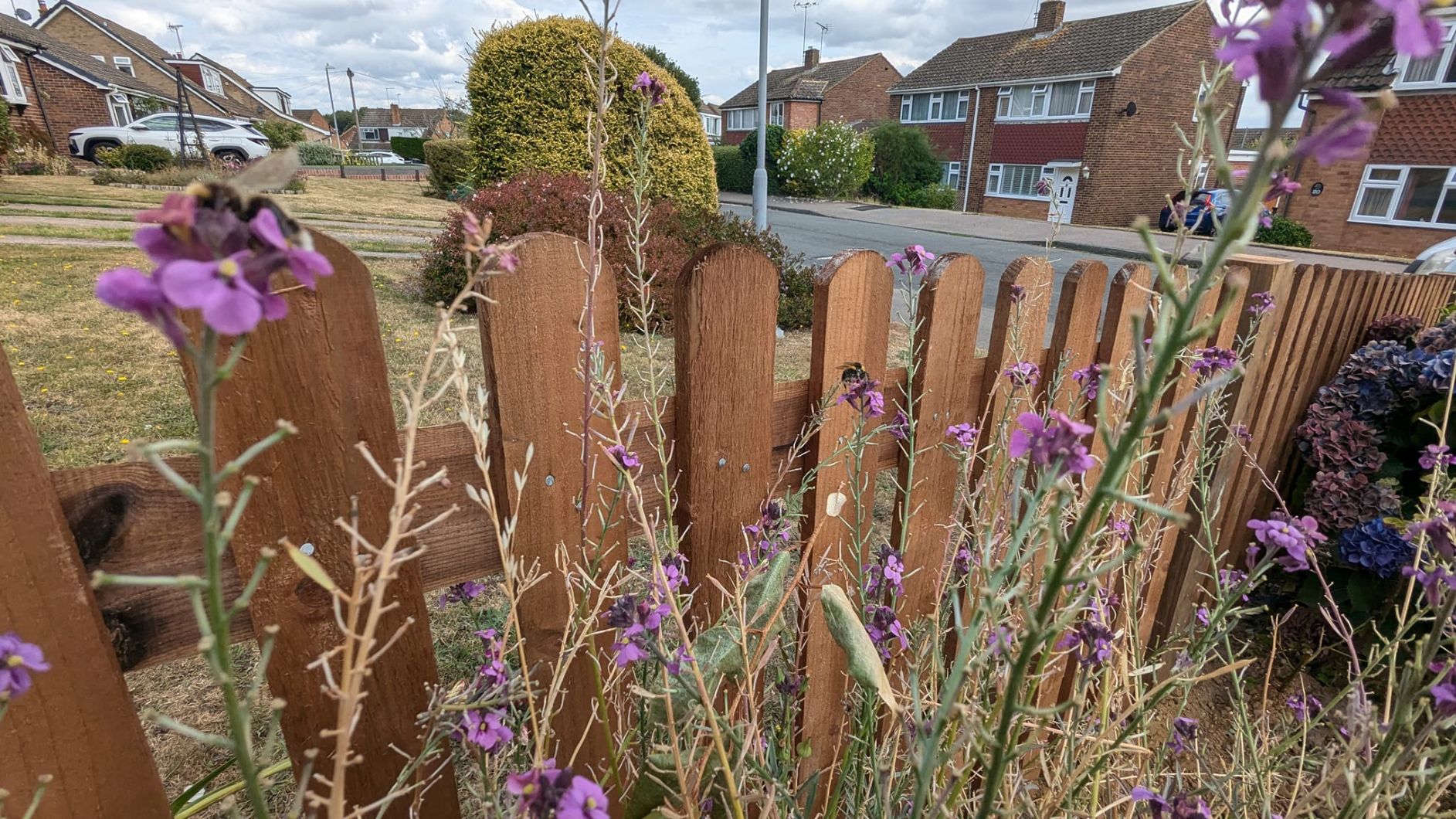 picket fence near me