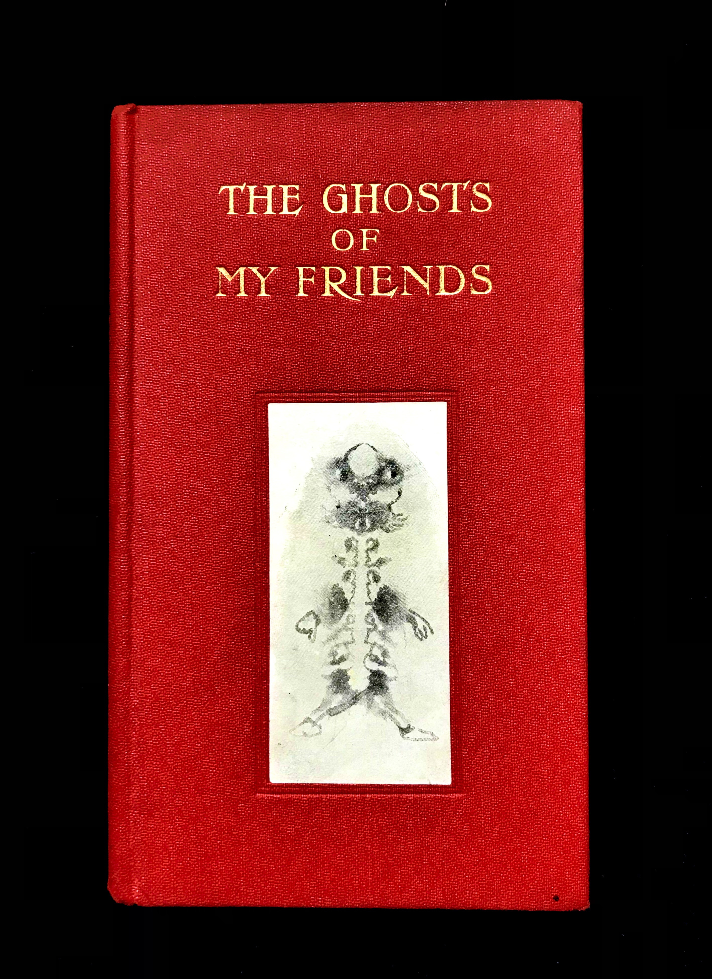The Ghost's Of My Friends