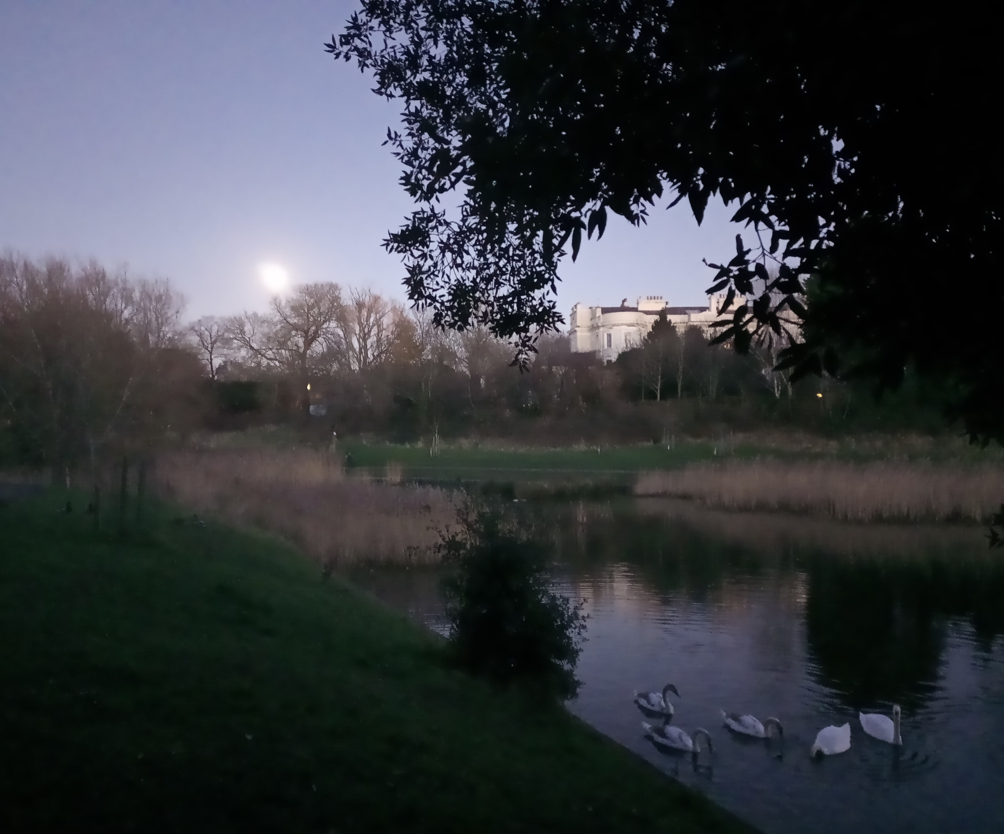 The Park by Moonlight