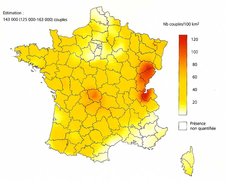 Buzzard-map-France