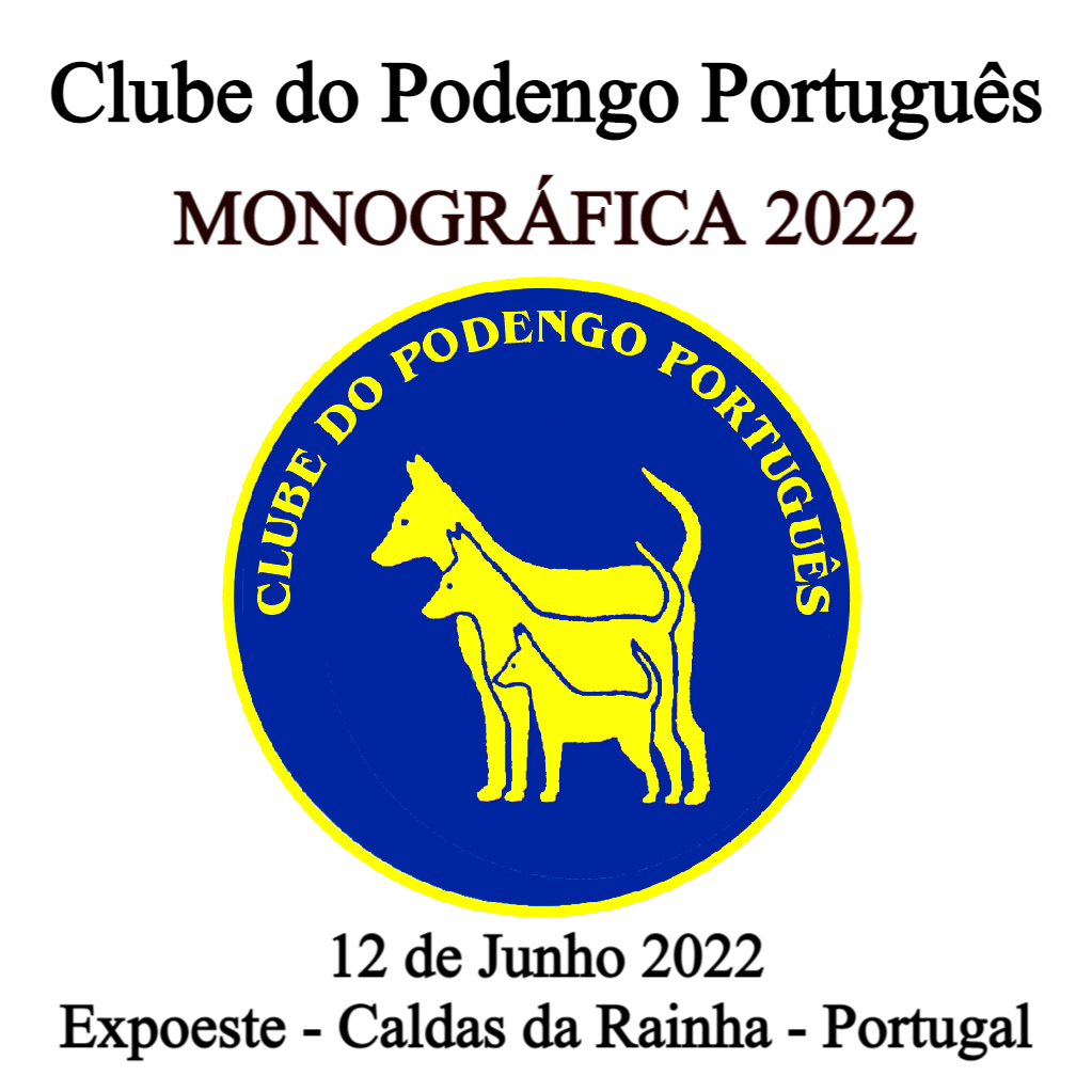 Portuguese Podengo
