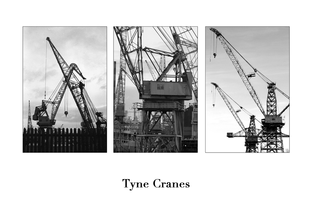 Tyne Cranes Triptych Print