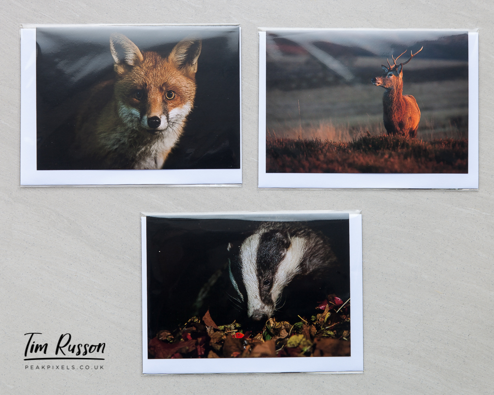 £5 for this set of 3 blank A6 sized greetings cards.