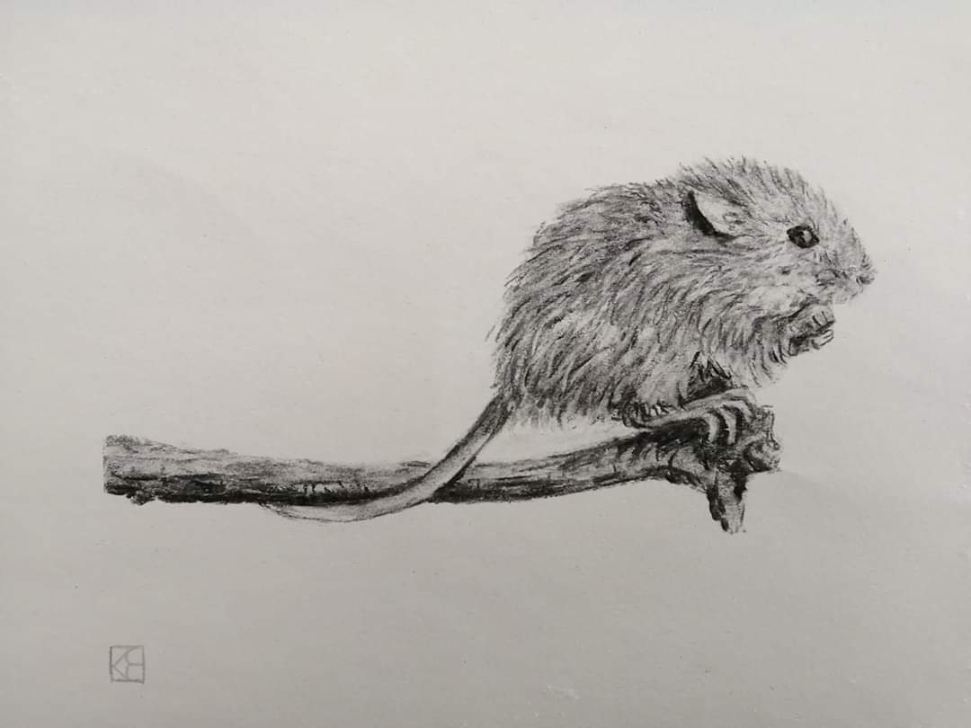 Day 75.  Mouse on Twig