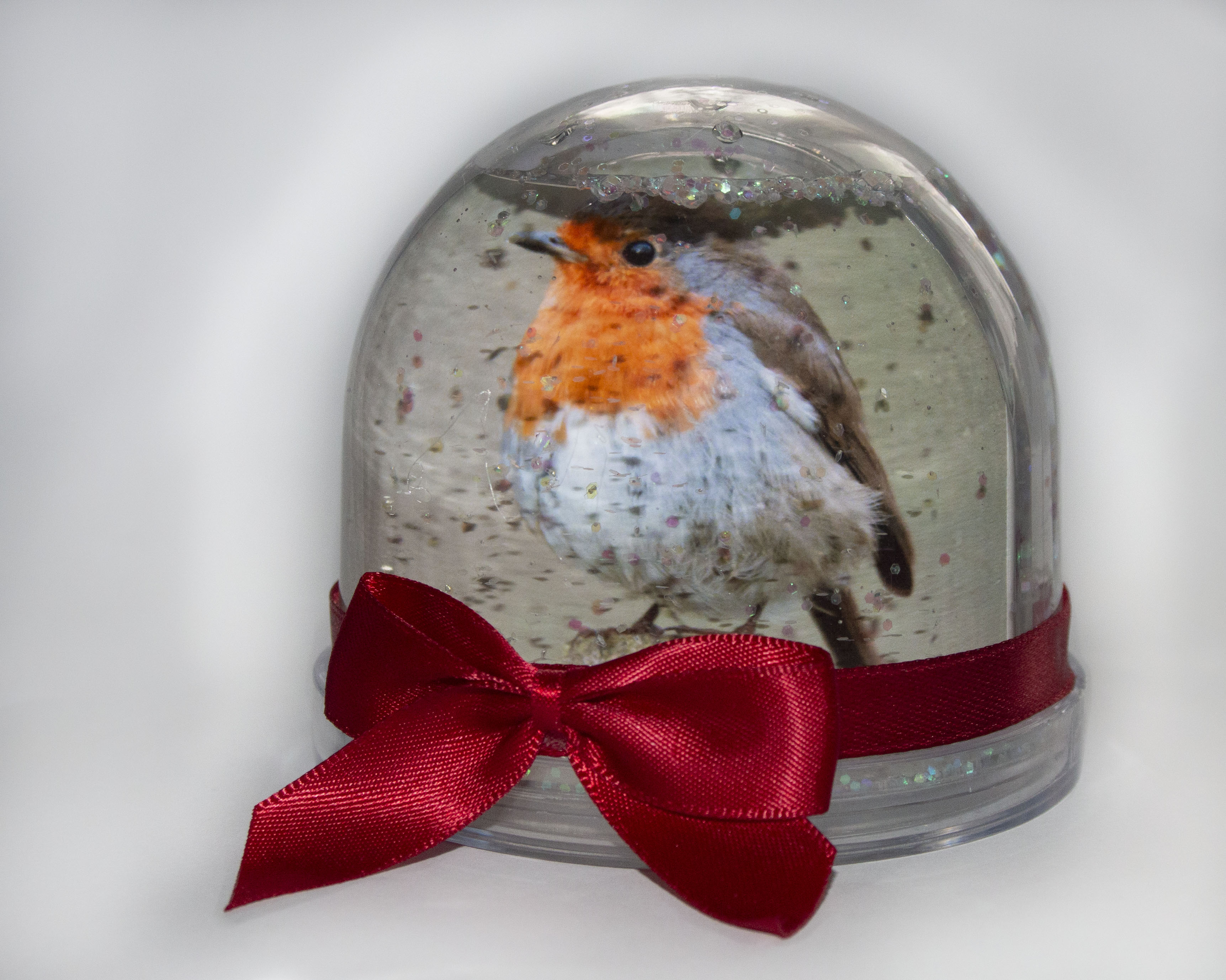 Robin glitter globe