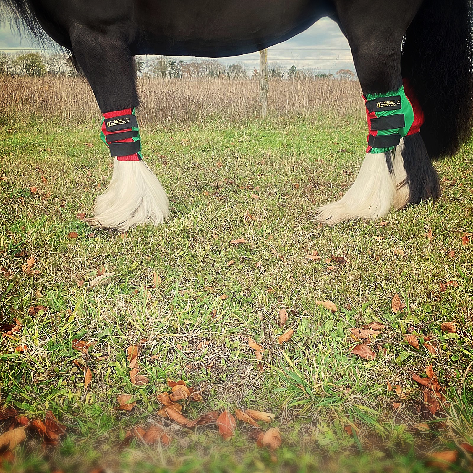 Waterproof Knee Boots - Red and Green