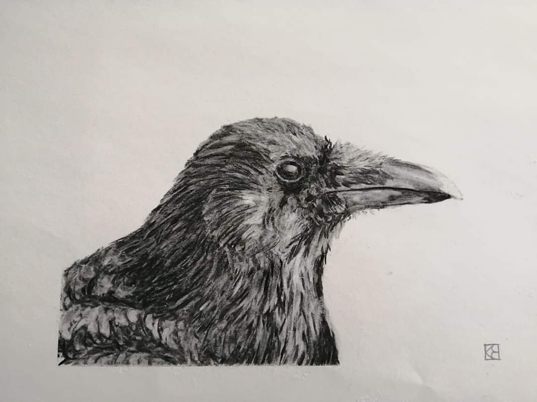 Day 70.  Crow