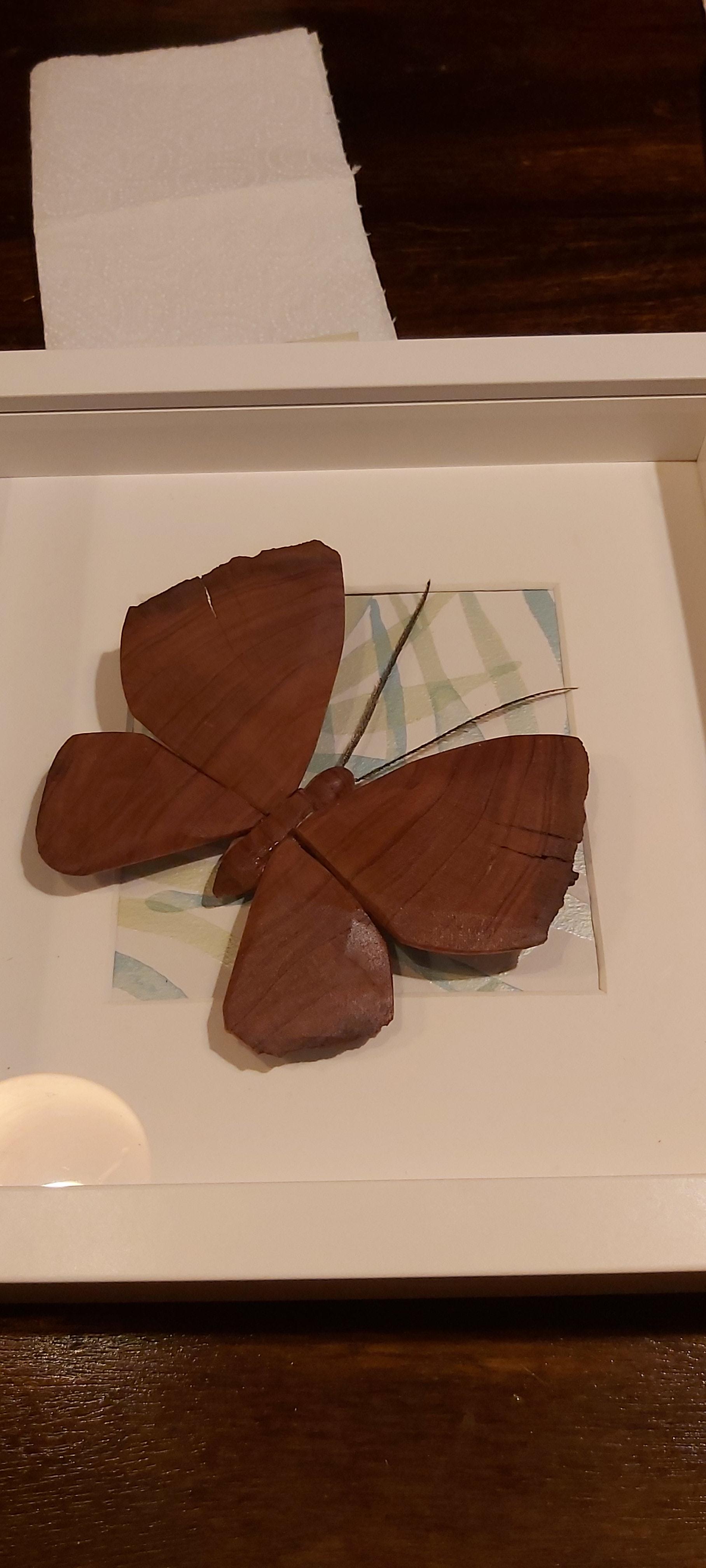 Cedar wood butterfly