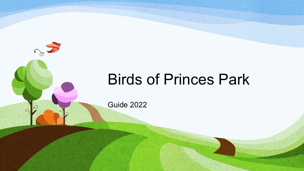 Bird Guide 2022