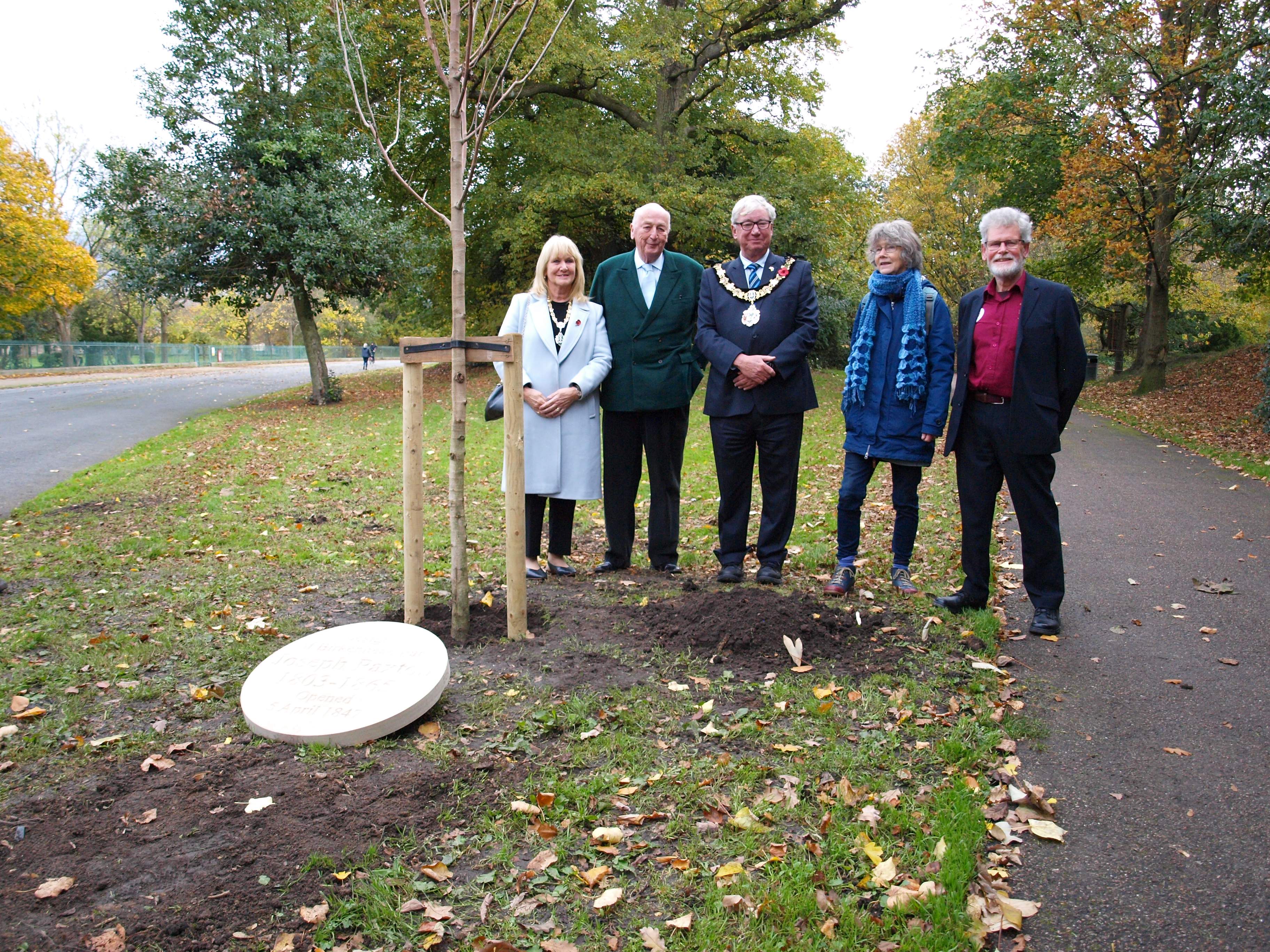 The Chinese Tulip tree planted by the Duke in Birkenhead Park